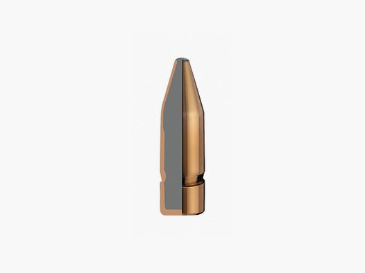 RWS GESCHOSSE 7MM / 284 KS 123 GRS / 8,0 G 50 STK