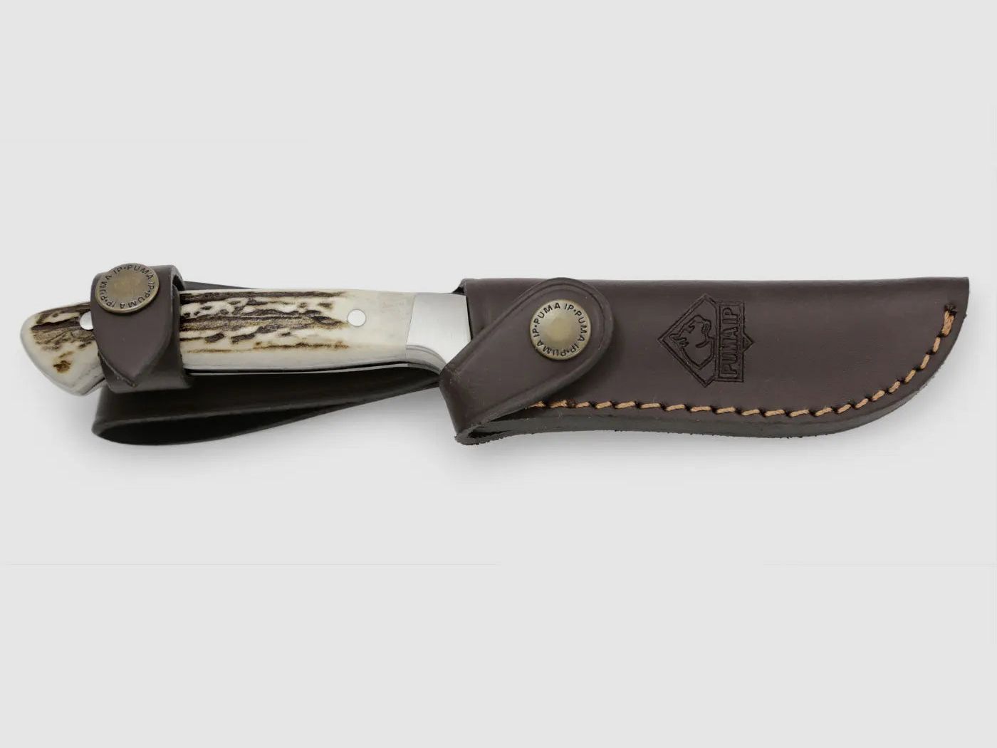 PUMA IP pal 240, corno di cervo