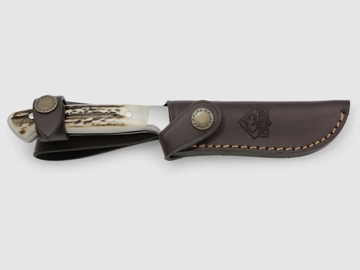 PUMA IP pal 240, Hirschhorn