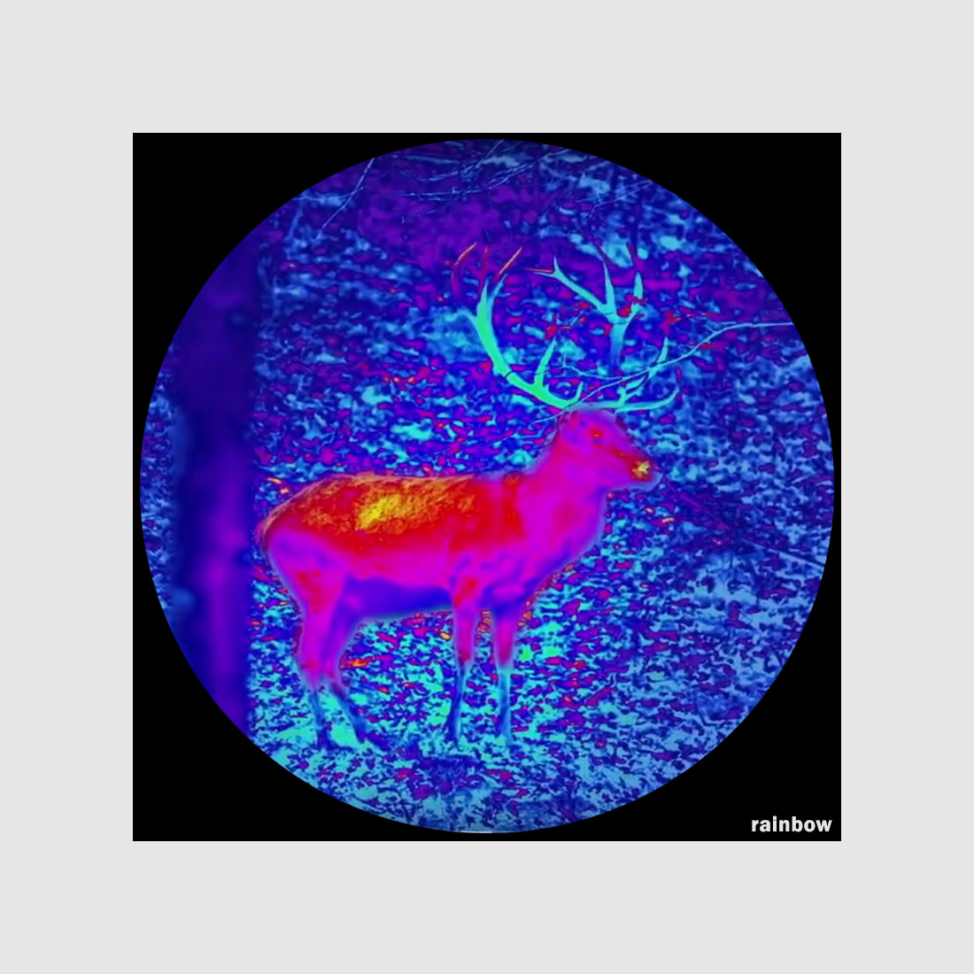 Lahoux Spotter Elite 35V thermal imaging camera