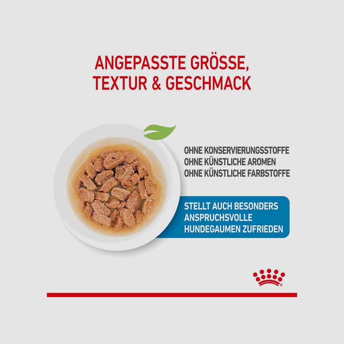 ROYAL CANIN Kleine Hunde Nassfutter Welpen bis zum 10. Monat 12x85 g