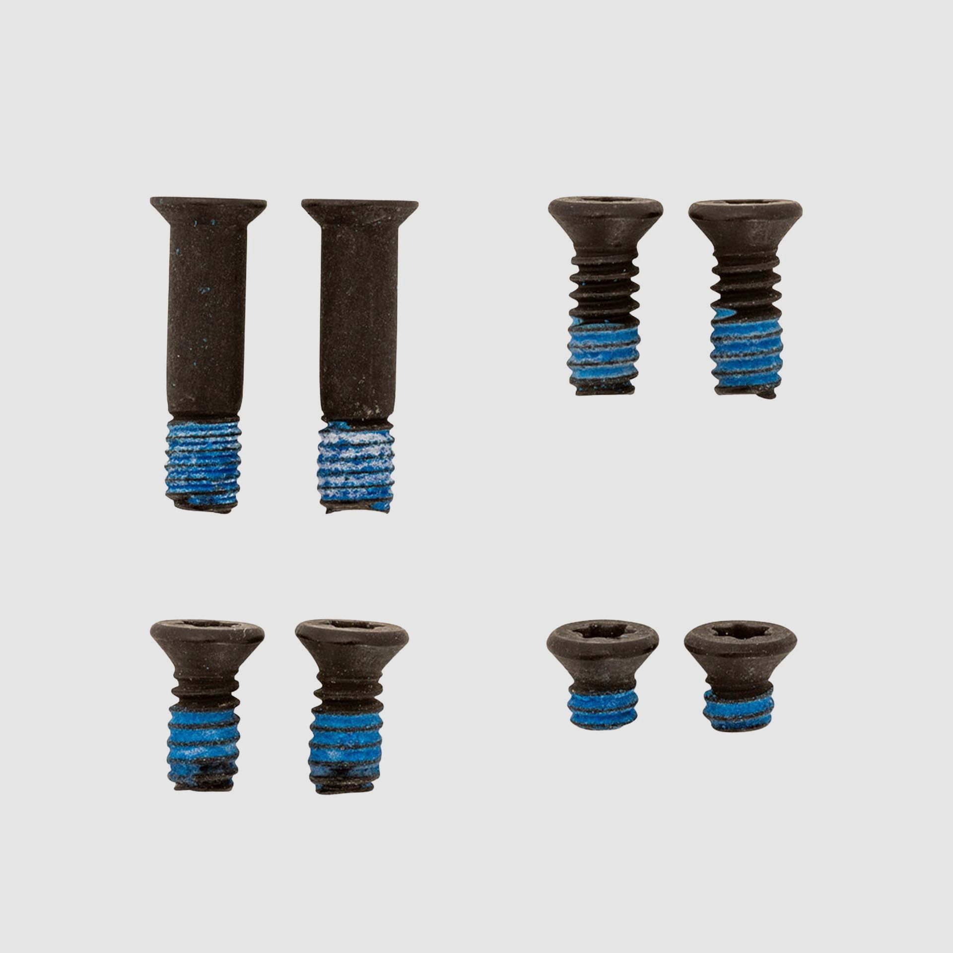 Screw Kit Optik Montage HS Echelon