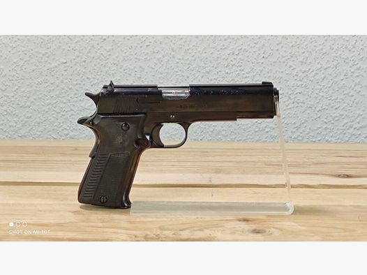 LLama 1911