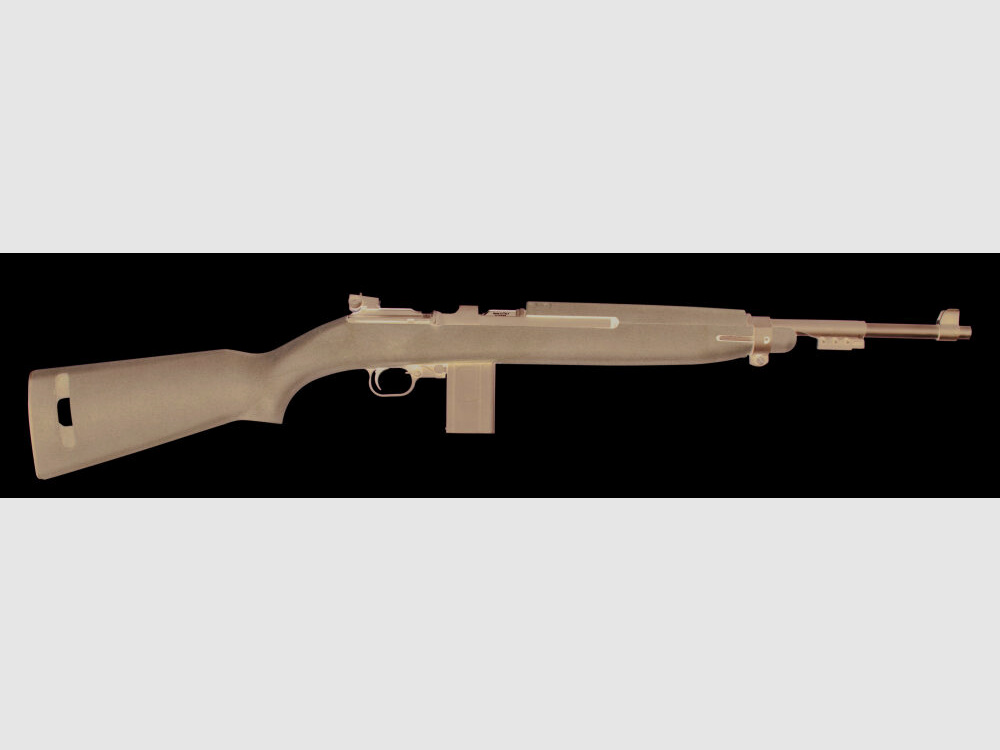 Chiappa M1-22 Carbine - Plastik .22 LR