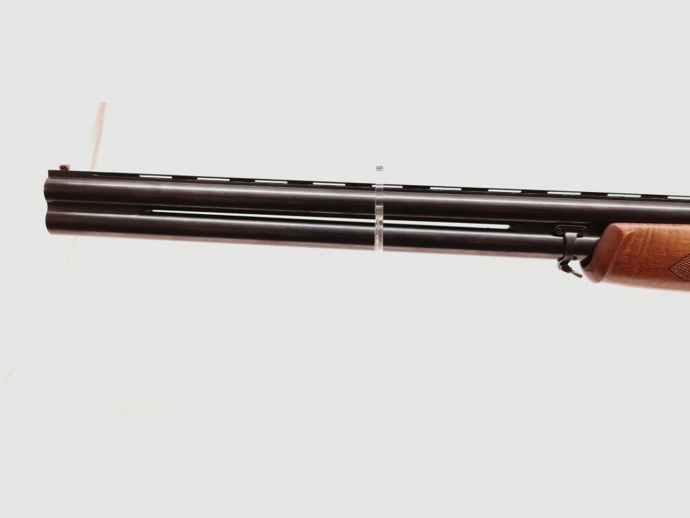 Franchi Alcione (AL)