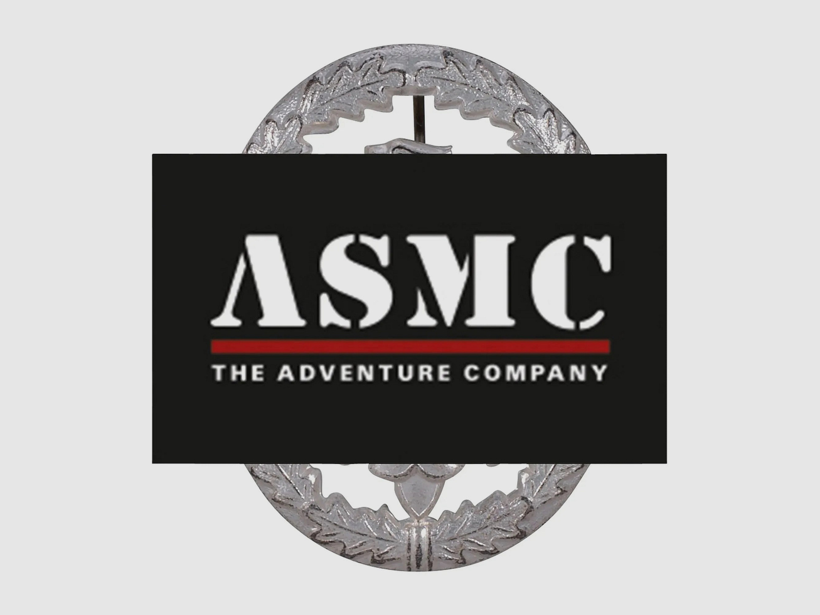 Fritzsch Leistungsabzeichen Metall silberfarben