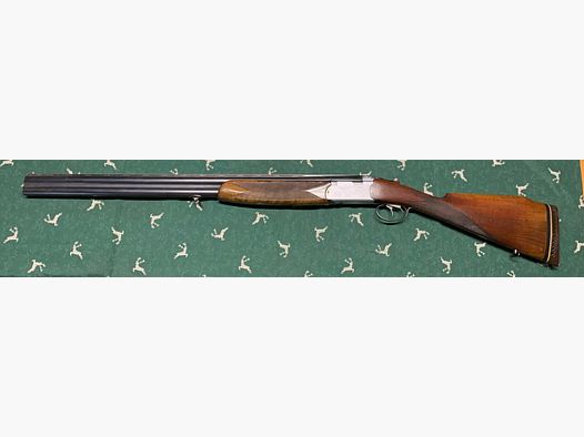 2519 - Sauer Beretta S56E