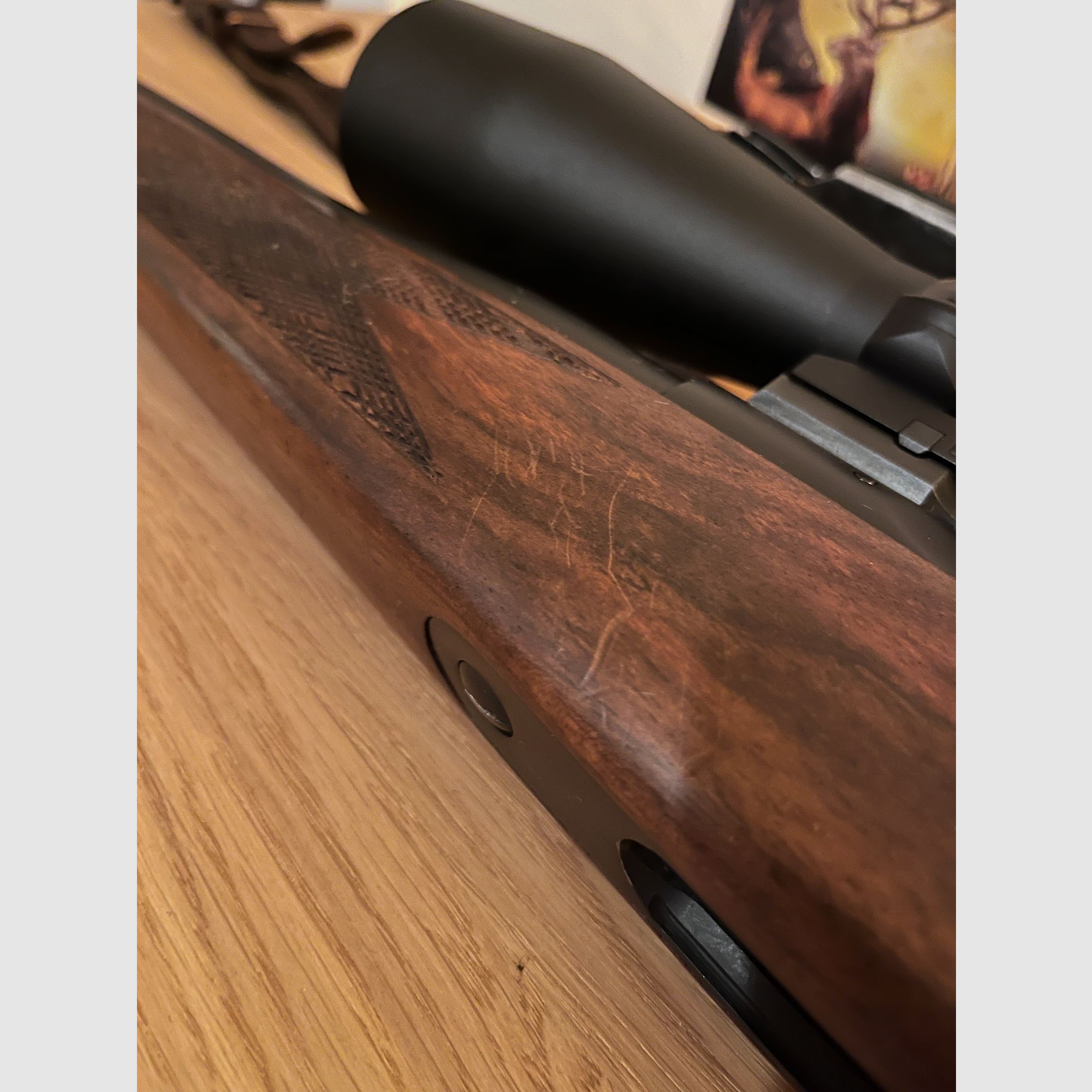 Sauer 80