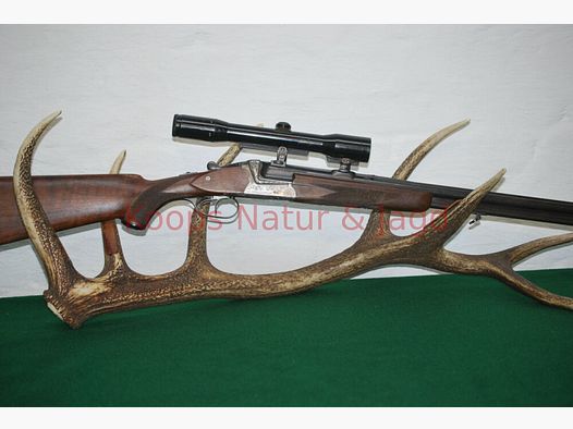 Sauer & Sohn 54