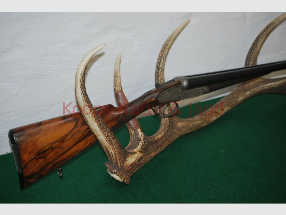 Pirlet