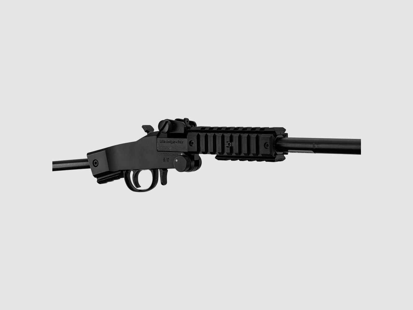 Zusammenklappbare Büchse LITTLE BADGER TAKEDOWN XTREME RIFLE 22LR CHIAPPA, Bild 1 von 4
