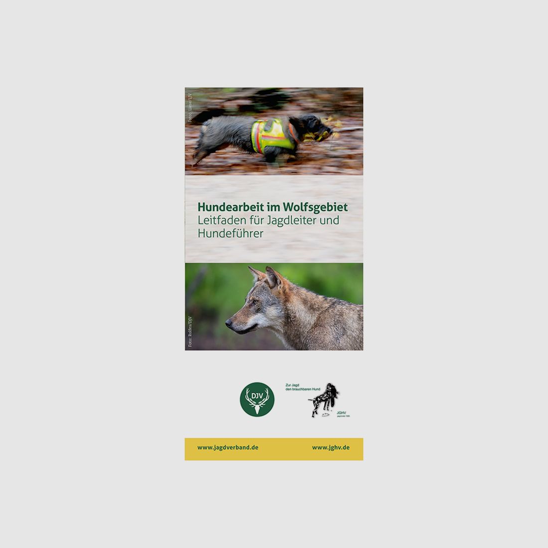 Flyer "Hundearbeit im Wolfsgebiet"