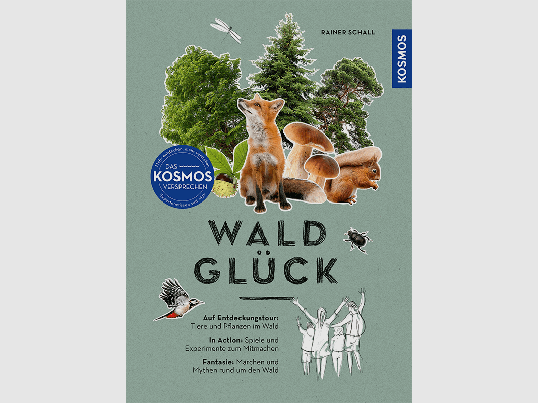 Buch "Waldglück - Mitmach-Ratgeber"