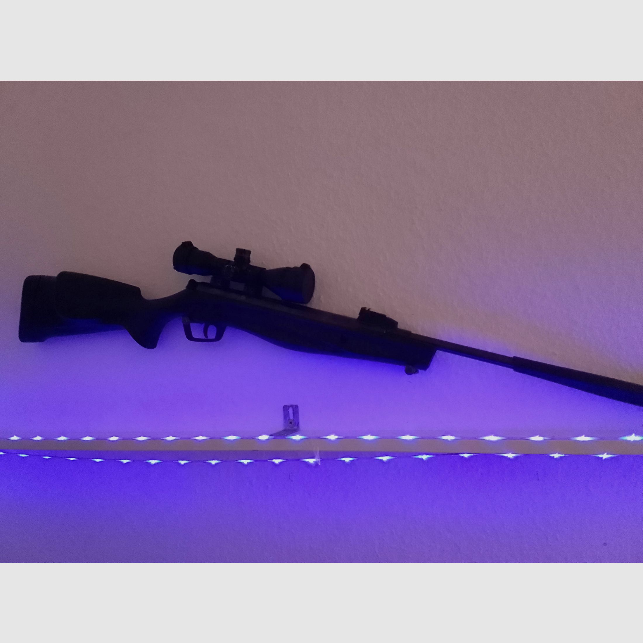 Stoeger RX 5 