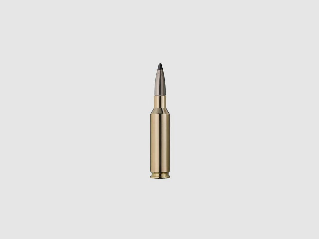 RWS 6,5 Creedm Speed Tip Prof. 9,1g/140gr, Bild 4 von 6