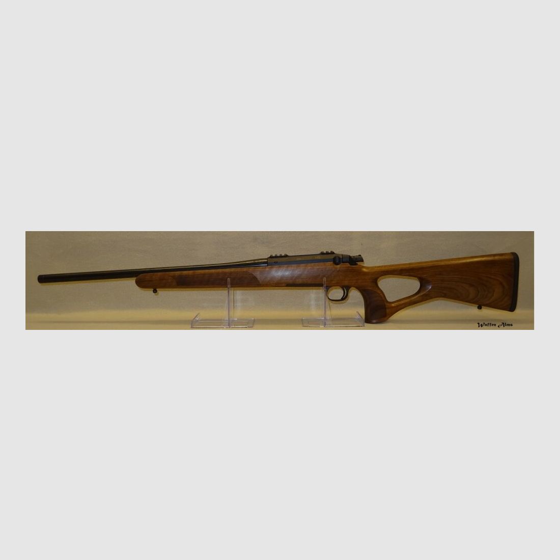 Steel Action HS Lochschaft