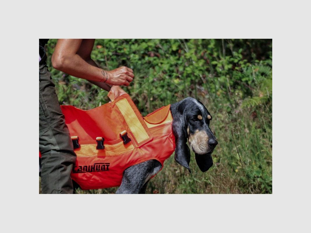 Protective Vest for Dogs Dog Armor V2, image 6 of 6