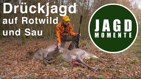 Drückjagd auf Rotwild und Sau mit Stefan | JagdMomente mit Freunden | Folge 4