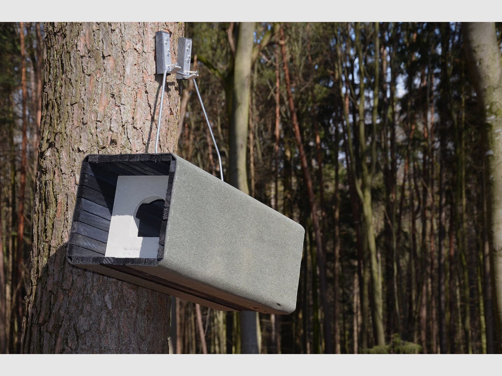 Schwegler Waldkauzrhre 1WK