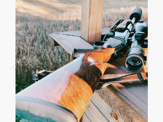 Blaser R8 repeating rifle left!! 308 Win, Swarovski Z8i 2.3-18x56