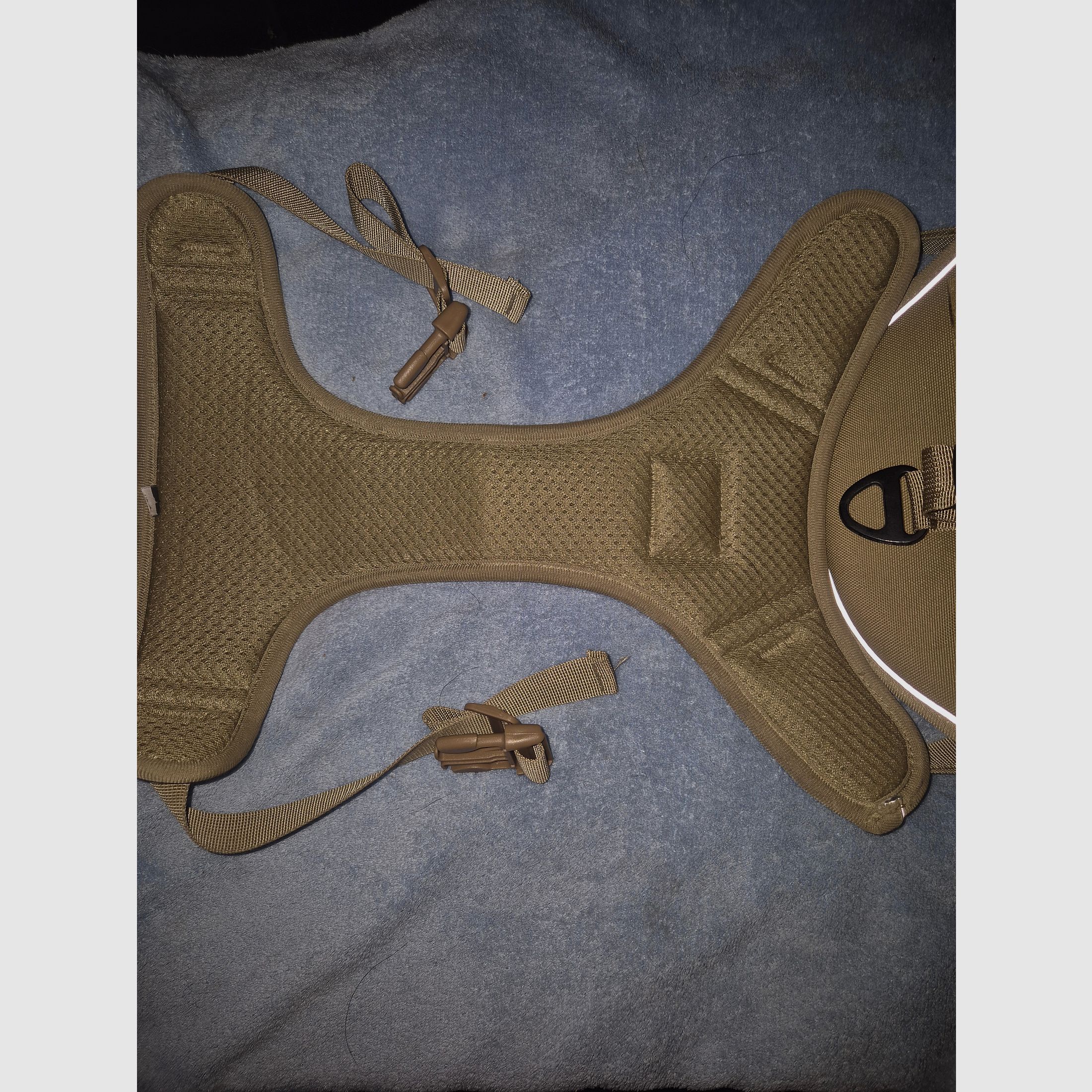Hundehalfter in Khaki militärische Ausführung