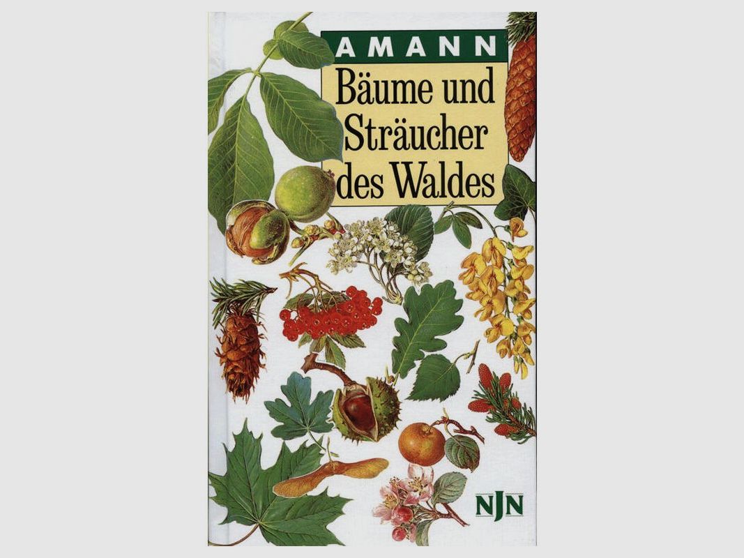 Bäume und Sträucher des Waldes von Gottfried Amann