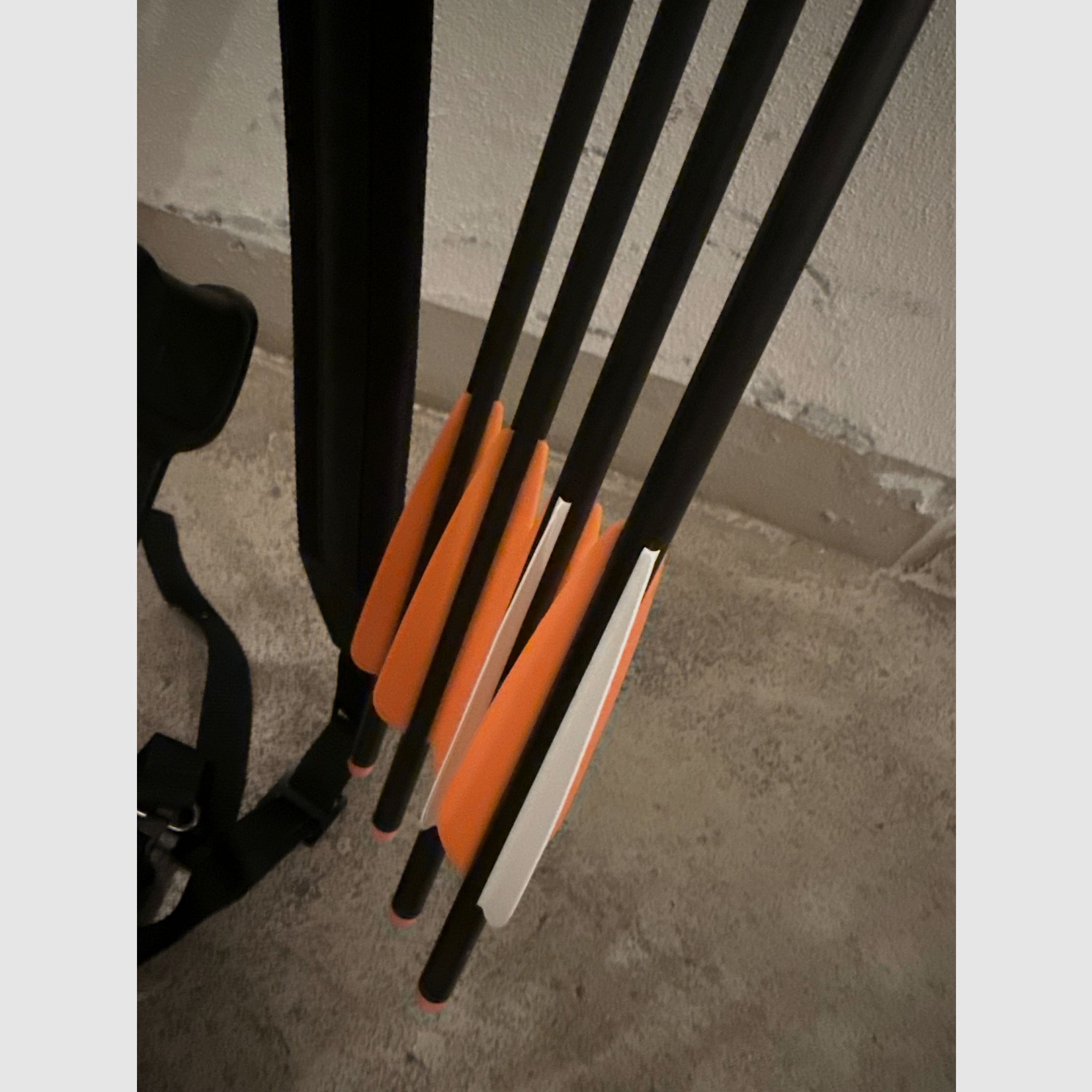MK -XB65BK Chester Compound Armbrust