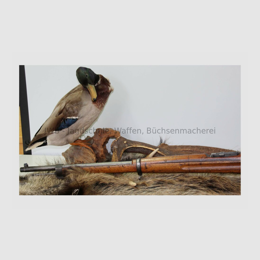 Carl Gustafs M96 Schwedenmauser Einzellader 6,5x55SE