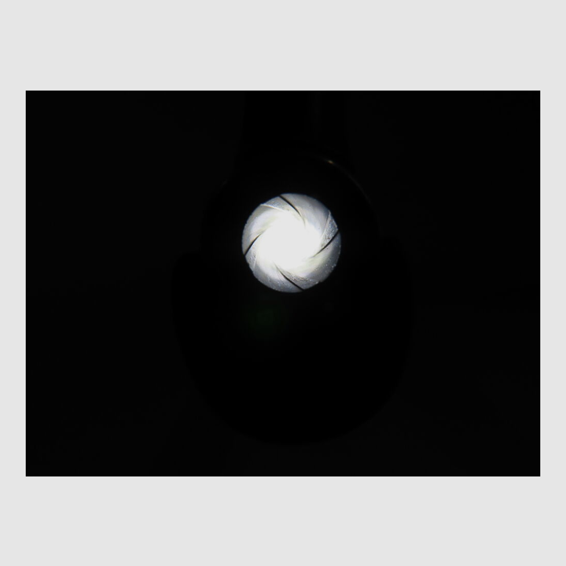 Zastava Jagdstutzen incl. Ansitz & Drückjagdoptik