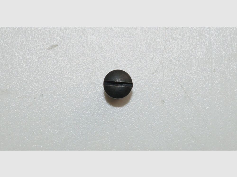 Bern Armory Used Loading Flap Spring Screw for Swiss Service Revolver 1882