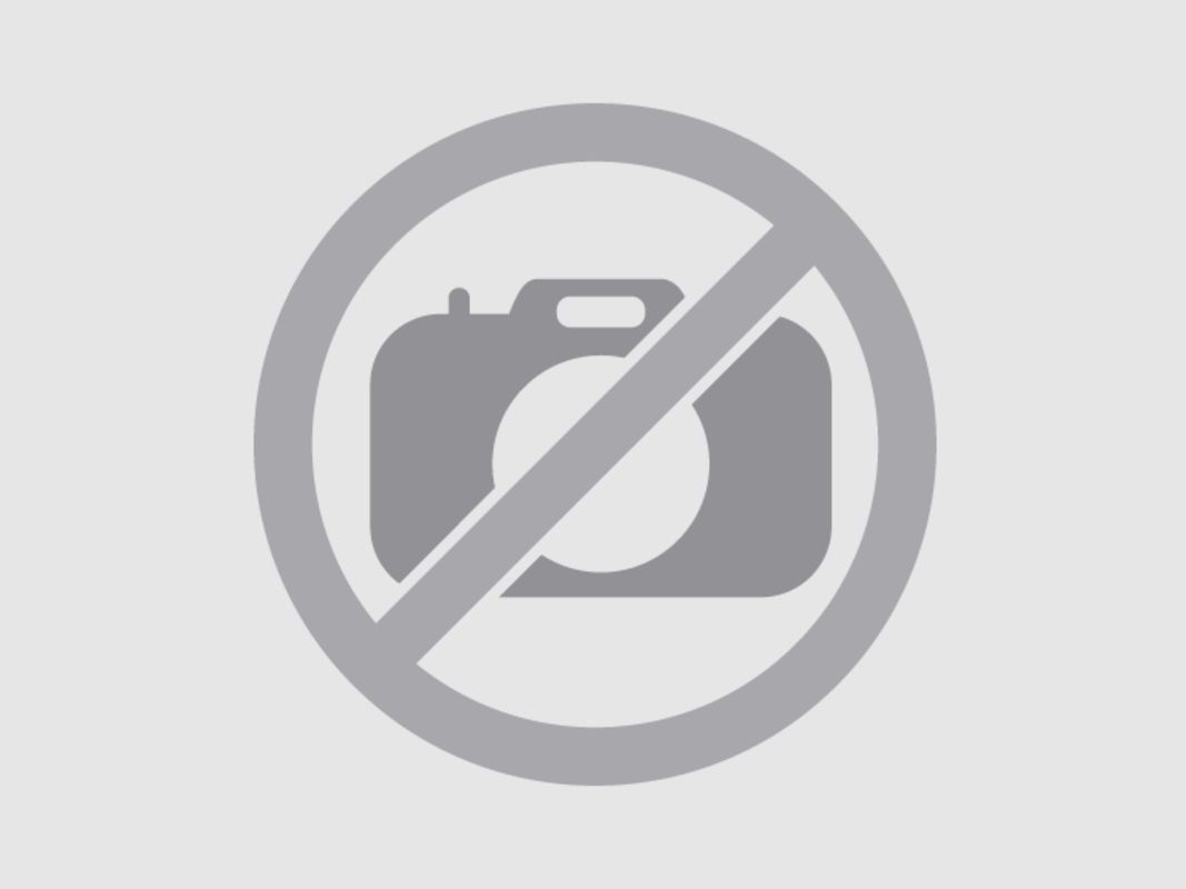 HWM 2250 micrometer vizier compleet
