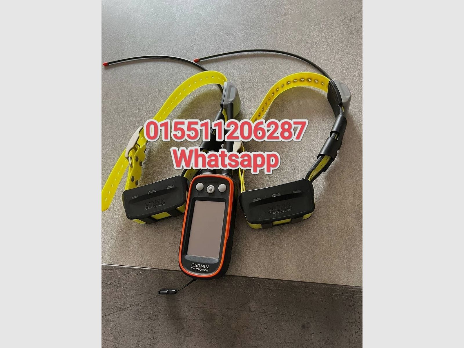 Garmin Alpha 100 mit zwei TT15 Halsbändern - Komplettset für