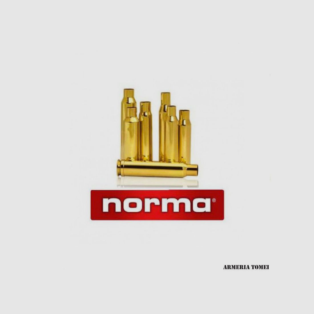 NORMA – CASES .300 AAC Blackout (50 pcs)