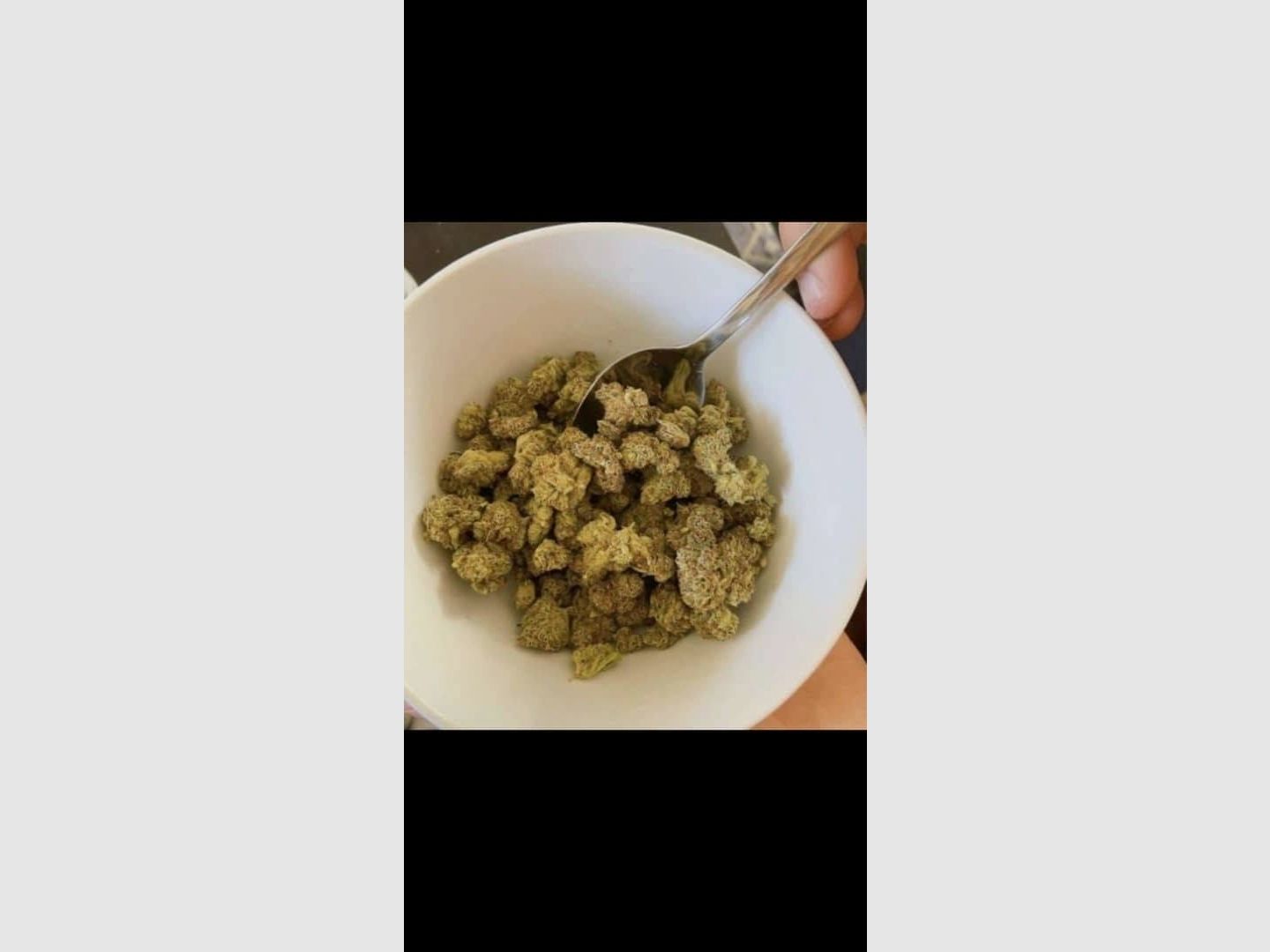 Chaud cocaïne : nous vous ferons revenir. Coca : toute la nuit, pas de banderoles. cocaïne. Gros truc Envoyez-moi un message sur Google Chat