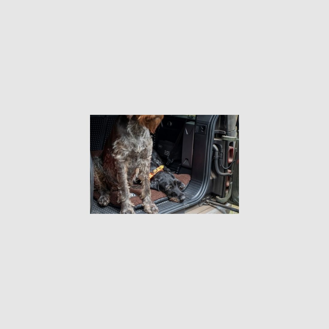 Farm-Land Hundedecke Faserpelz 50x70cm verschiedene Farben