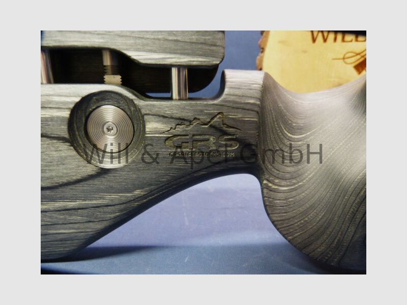 Sauer & Sohn Sauer 100