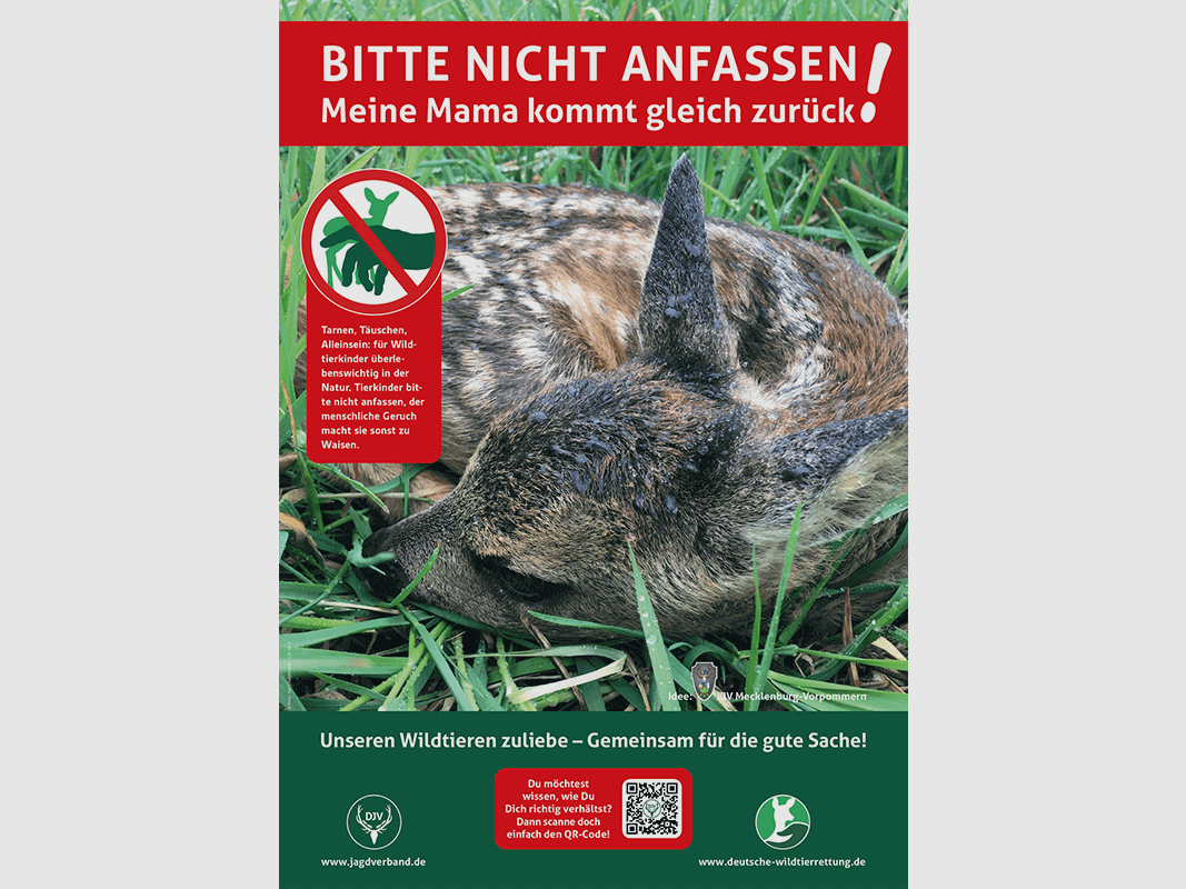 Hinweisschild Kitzrettung "Bitte nicht anfassen" A3