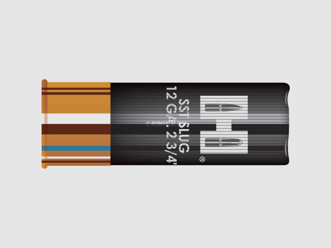HORNADY SST 12 FTX 8623 Patronen, Bild 2 von 3
