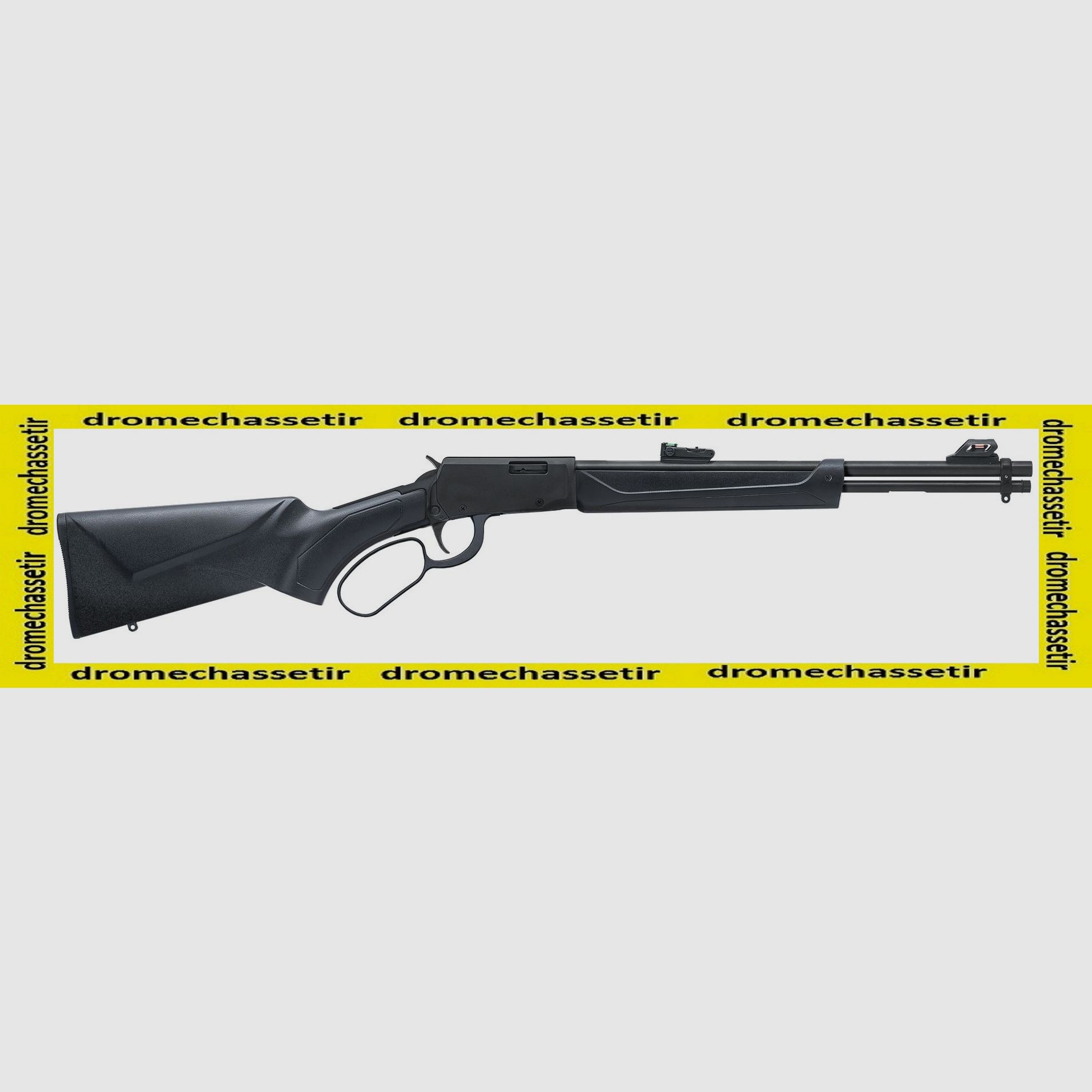 carabine a levier sous garde Rossi Rio Bravo Composite cal 22lr, image 1 sur 2