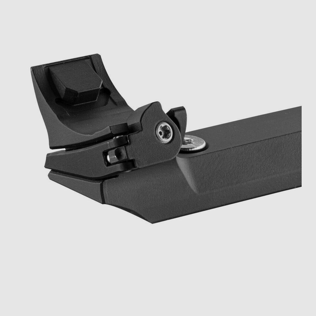 Montages pour Steyr Monobloc, image 2 sur 5