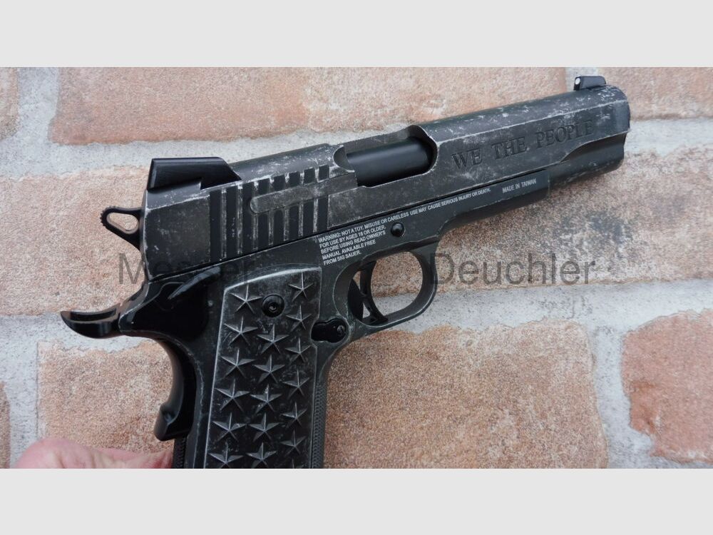 Sig Sauer 1911 WTP 1911 WTP