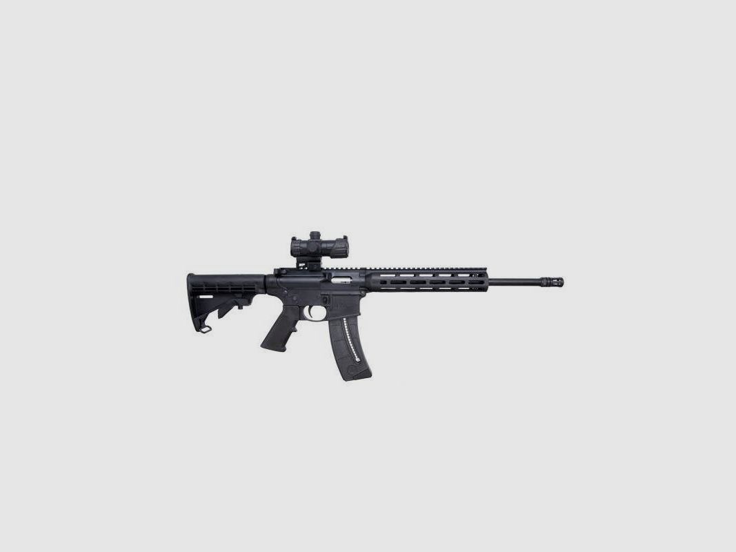 Semi-automatic carbine Smith & Wesson S&W M&P 15-22 cal. 22lr + red dot sight