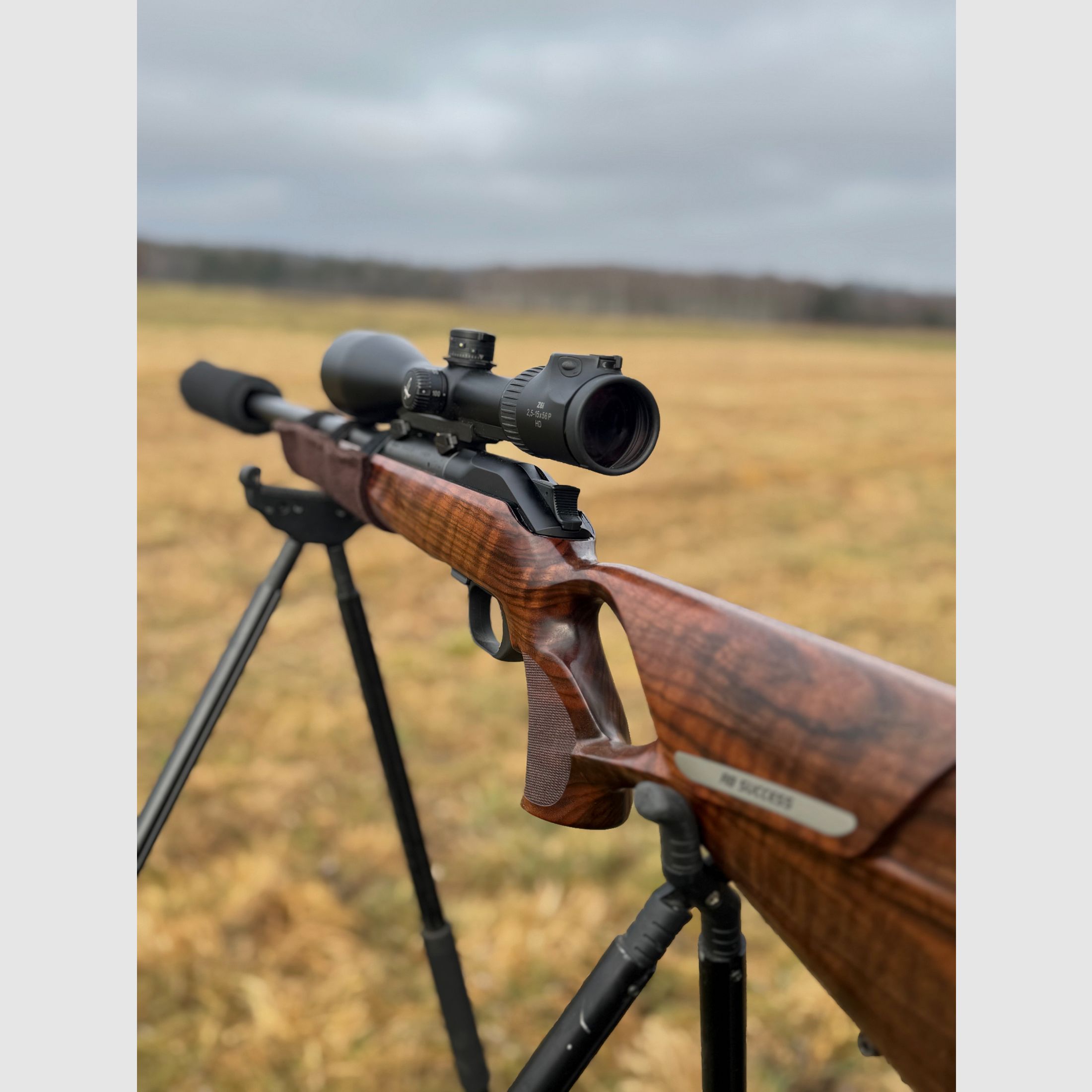 Blaser R8 Success Mono Wood