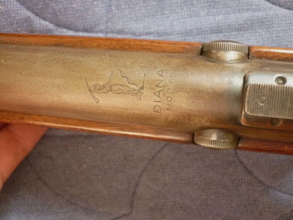 Diana	 Mod. 60