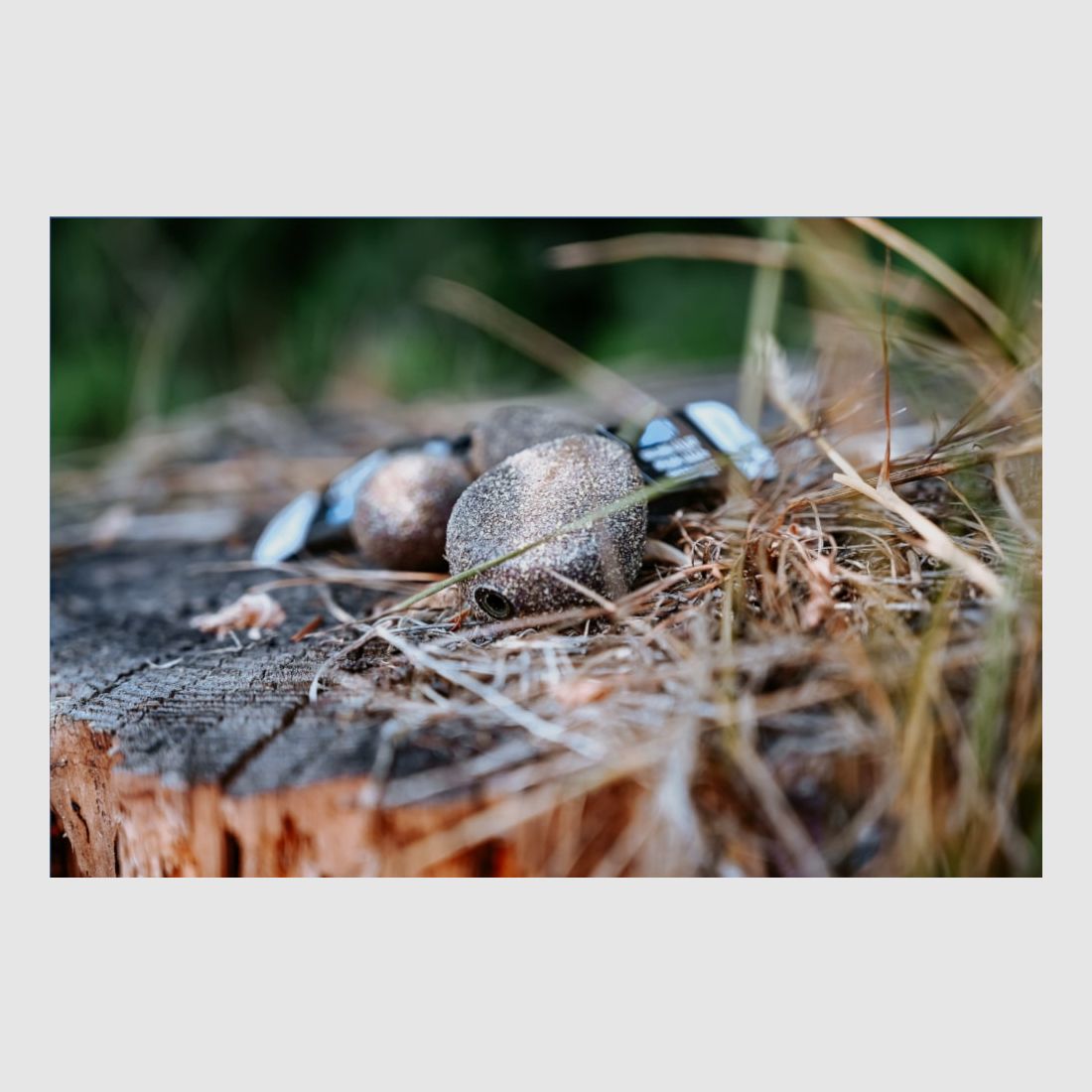 Pera Nash Flat Karpfenblei