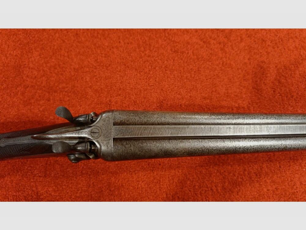 Julius Rösler in Salzburg 16/65;16/65