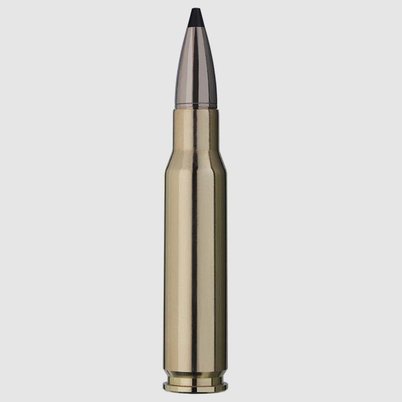 RWS 2401226 .308 Win. Speed Tip Professional 10,7g 165grs.