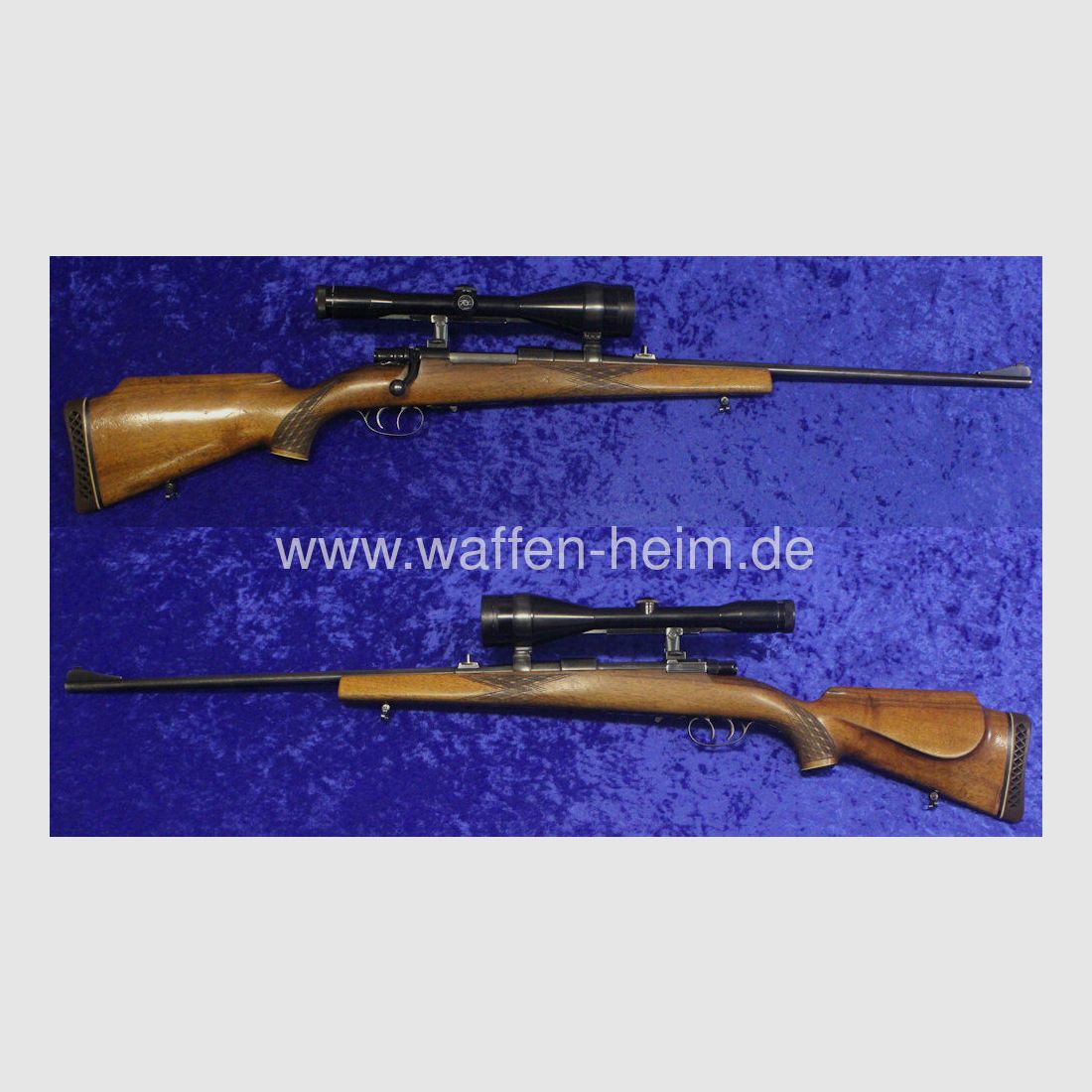 Forest -Frankonia M 98