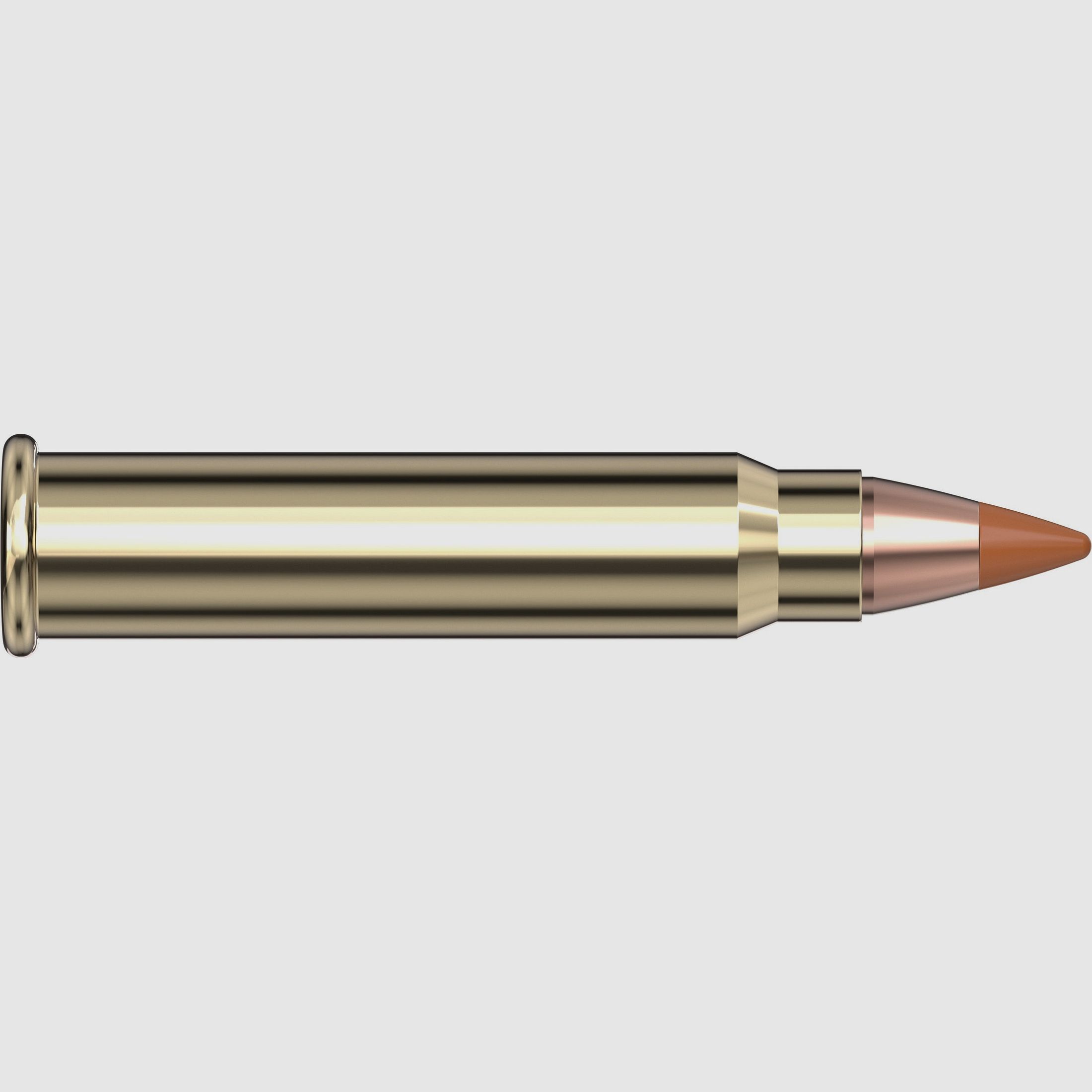 Varmint Express Anular 17, Bild 5 von 5