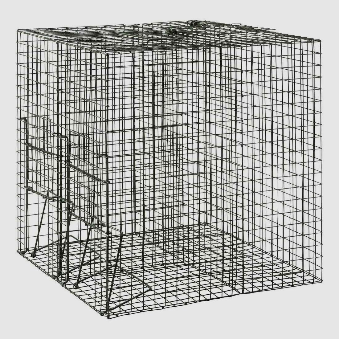 Trappola per cattura viva